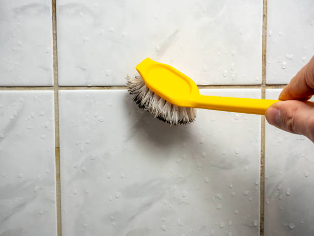 Best Professional Mold Removal  in Palmdale, CA