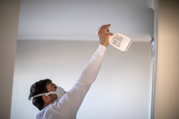 Best Black Mold Removal  in Palmdale, CA